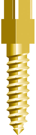 Load image into Gallery viewer, Dental Gold Plated Conical Cross Head Screw Posts Refill M6

